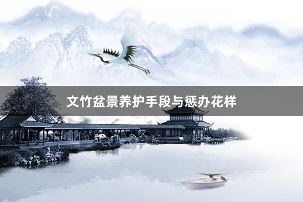 文竹盆景养护手段与惩办花样