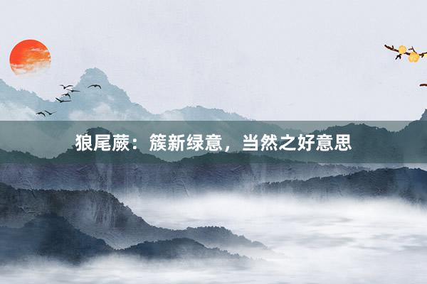 狼尾蕨：簇新绿意，当然之好意思