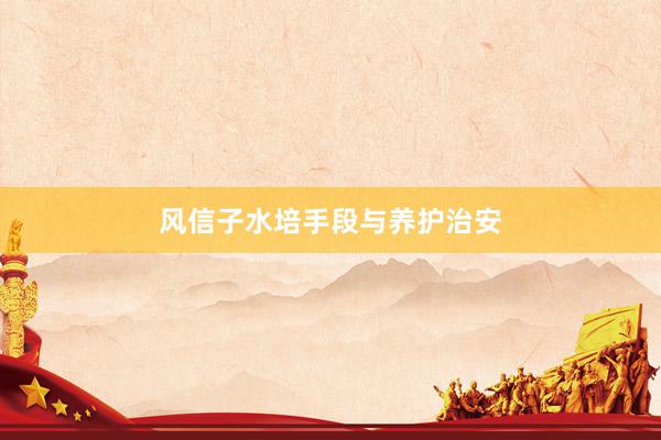风信子水培手段与养护治安