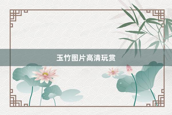 玉竹图片高清玩赏
