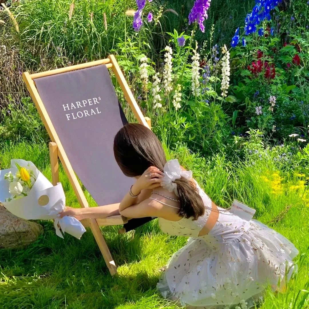 No Nukes 音乐会电影